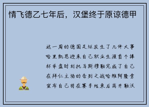 情飞德乙七年后，汉堡终于原谅德甲