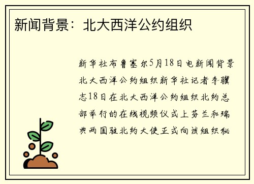 新闻背景：北大西洋公约组织